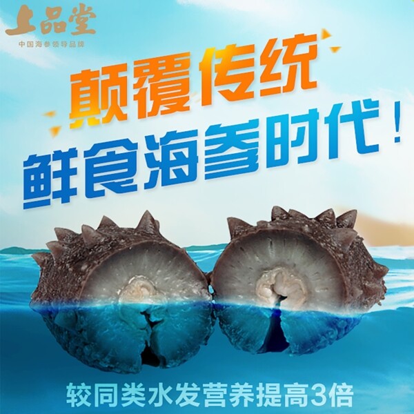 鮮食海參直通車