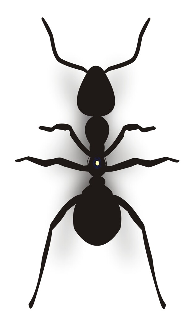 黑色蚂蚁矢量素材CDR
