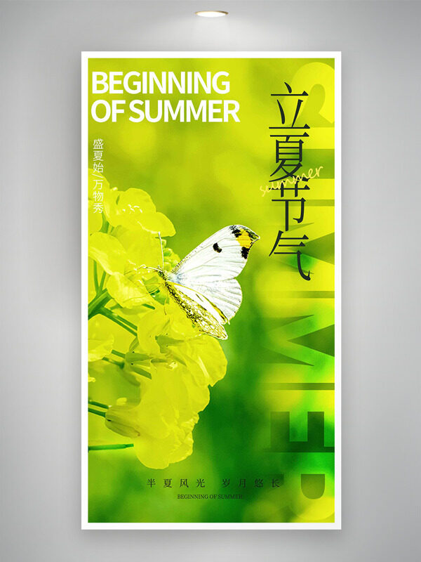 蝴蝶和黃燦燦的油菜花背景立夏節(jié)氣海報(bào)