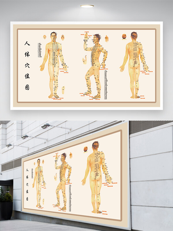 中醫(yī)文化中醫(yī)理療健康養(yǎng)生人體穴位圖展板