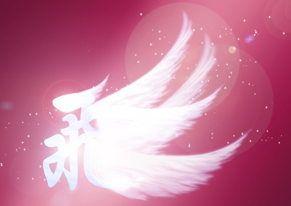 飛翔圖片