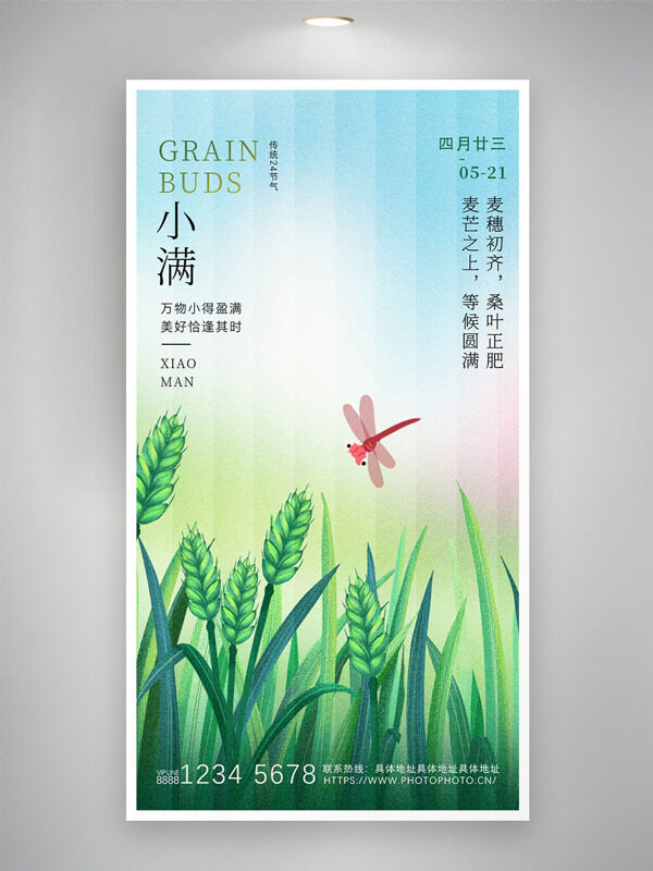 彩色漸變麥田蝴蝶背景傳統(tǒng)節(jié)氣小滿海報