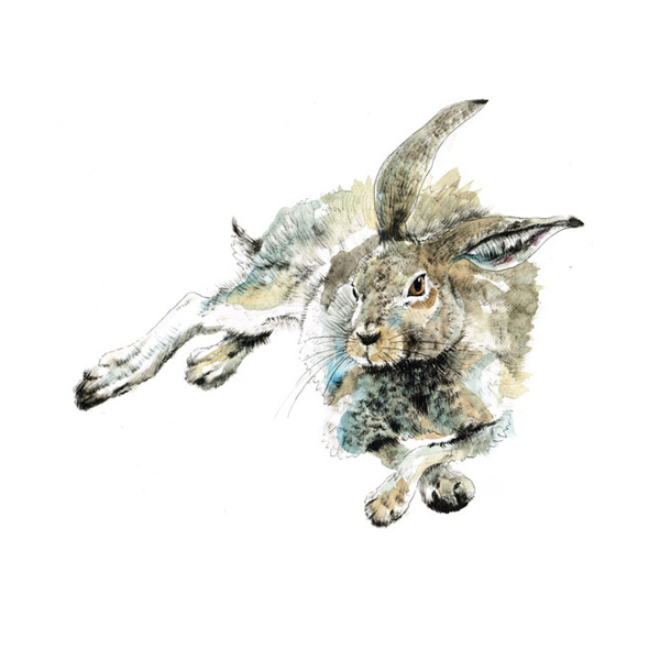 位圖插畫(huà)動(dòng)物插畫(huà)藝術(shù)效果手繪免費(fèi)素材