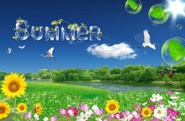 夏天summer圖片
