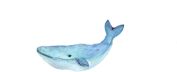 卡通蓝鲸水彩矢量素材