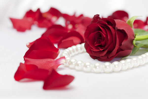 珍珠项链和玫瑰花图片