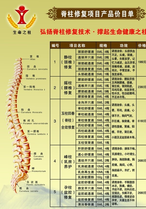 脊柱價目表圖片