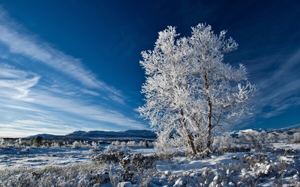 冬天风景图片