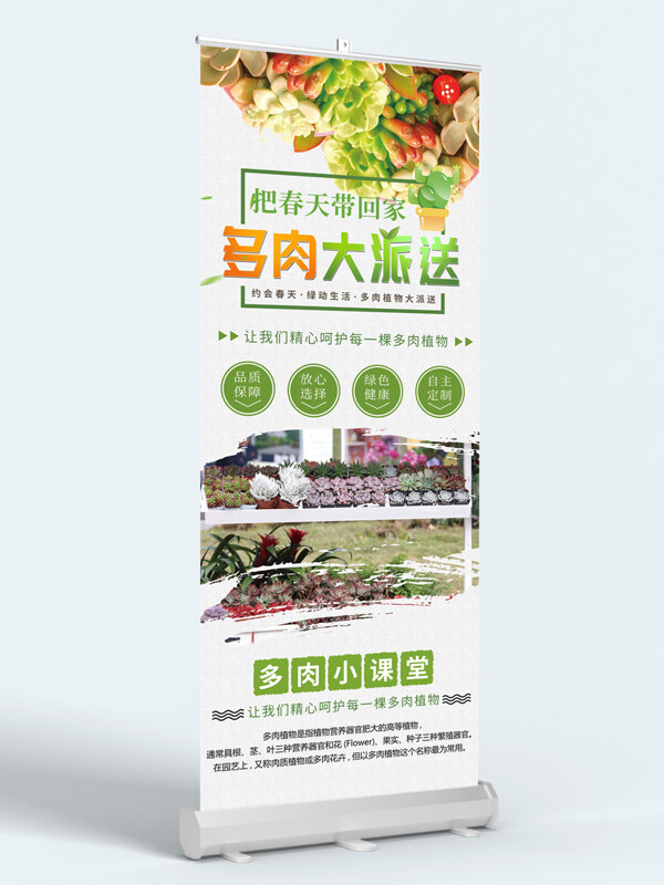綠色生活多肉植物插畫(huà)展架易拉寶