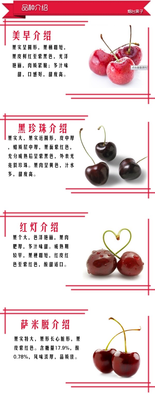 櫻桃品種