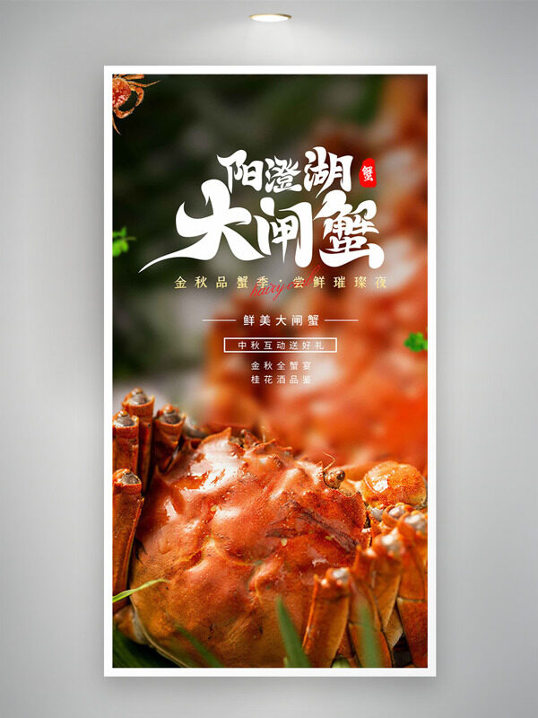 陽(yáng)澄湖大閘蟹金秋品蟹季美食海報(bào)