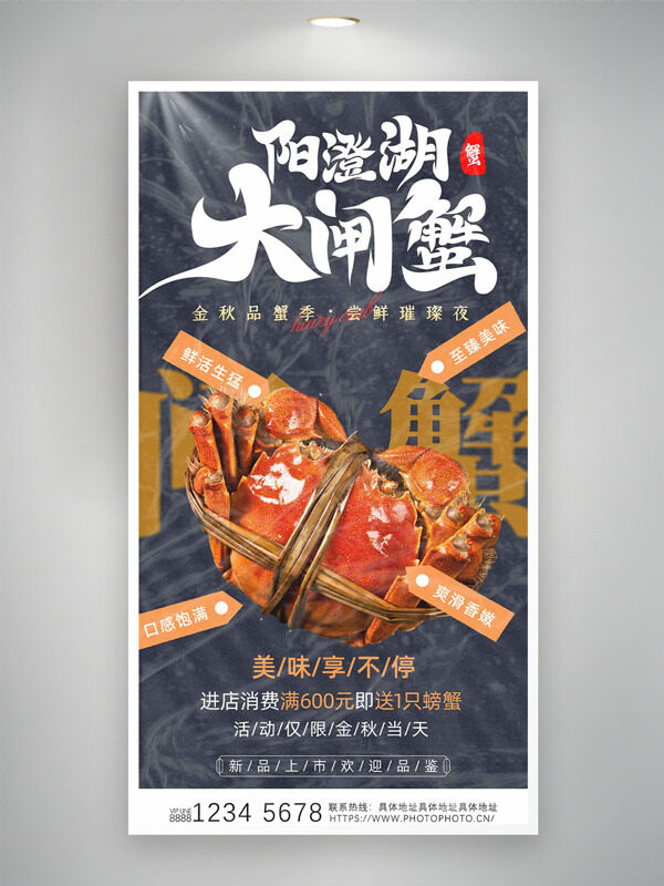 美味陽澄湖大閘蟹爽滑香嫩促銷海報