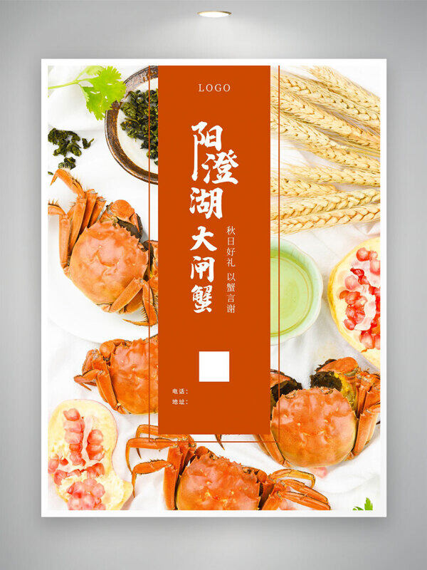 陽澄湖大閘蟹創(chuàng)意秋日好禮美食宣傳海報(bào)