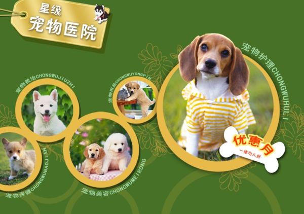 寵物醫(yī)院網(wǎng)頁圖片