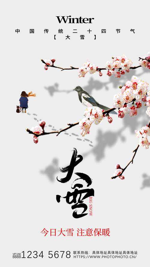 極簡背景手繪花鳥插畫大雪節(jié)氣主題海報