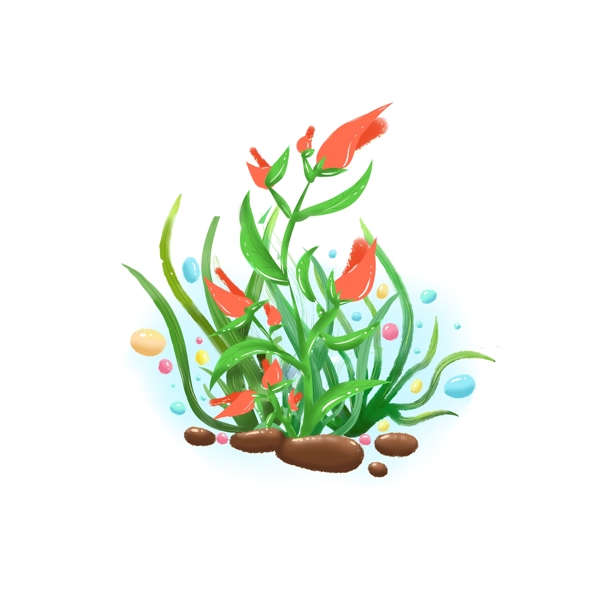 海底世界的小植物