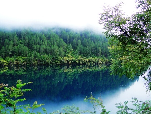 漂亮的湖景