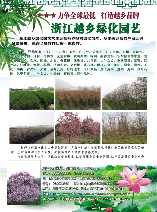 綠色自然背景圖片