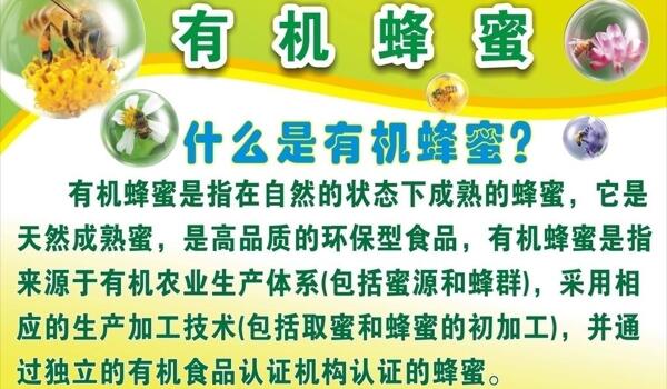 有機(jī)蜂蜜圖片