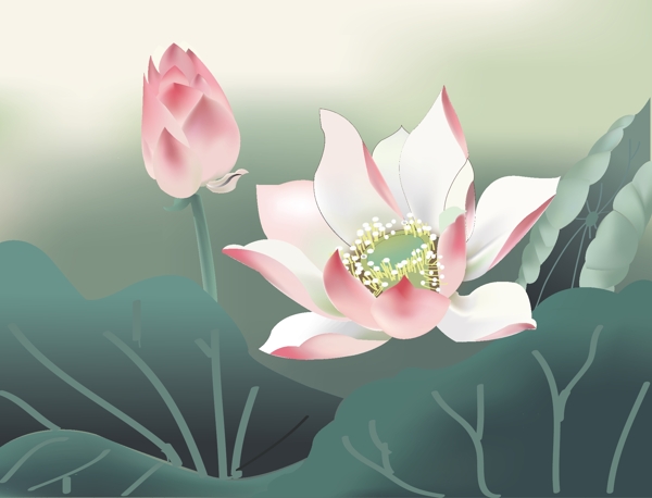 荷花ai圖片
