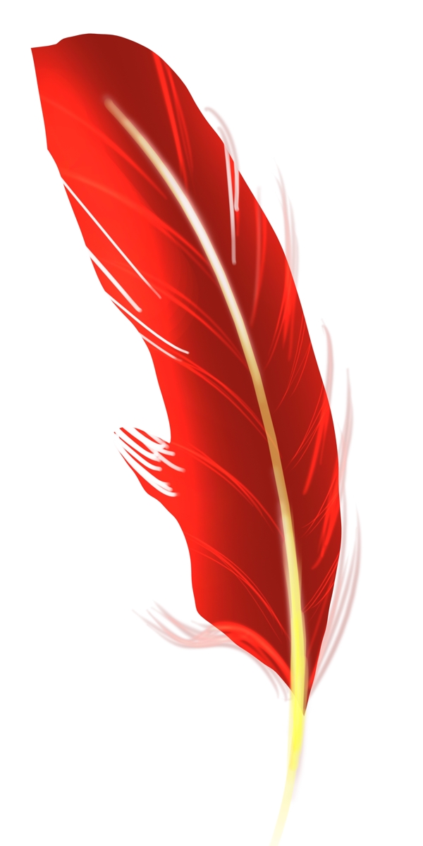 火红色羽毛