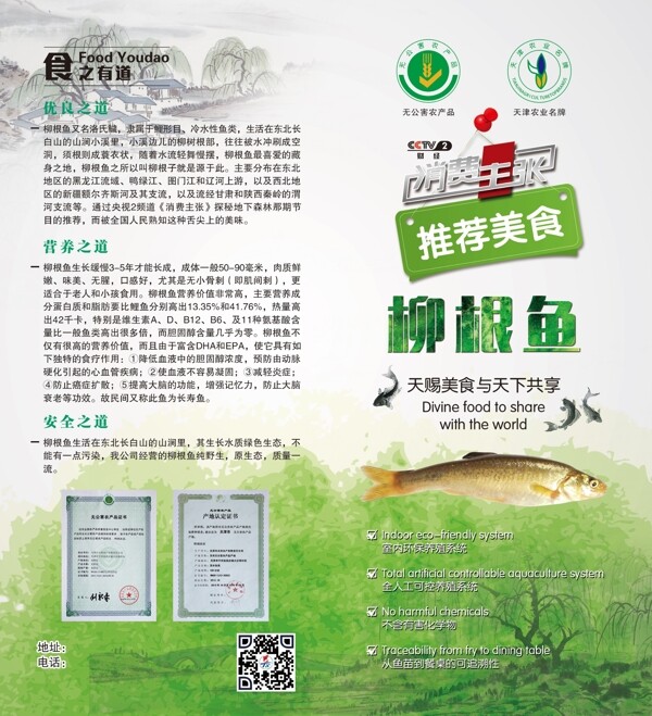 柳根魚二折頁