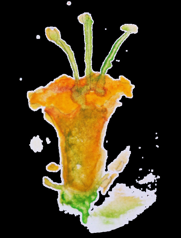 果皇花束透明裝飾素材