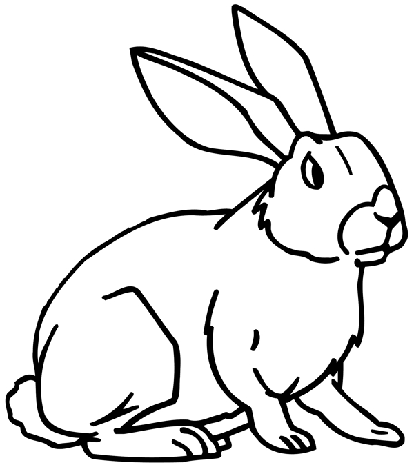 兔子常見動物矢量素材eps格式0011