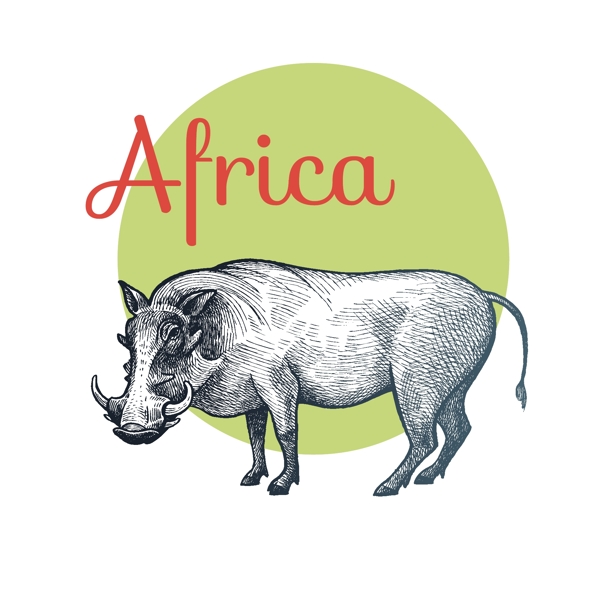 手绘非洲犀牛矢量素材下载