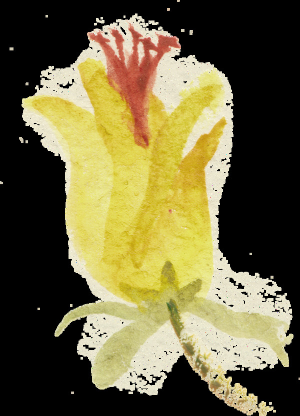 黄色手绘花苞