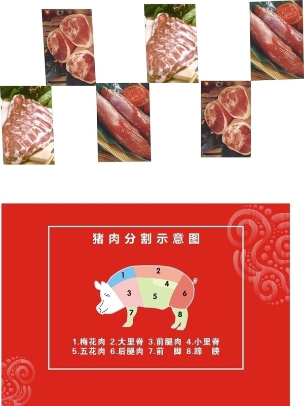 猪肉解剖图图片