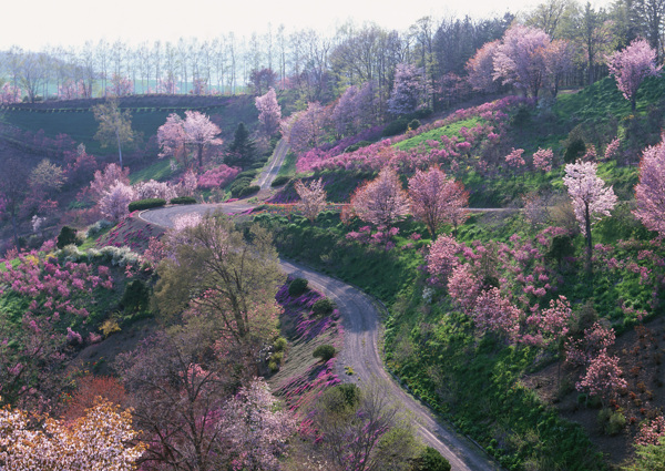 乡村风景图片