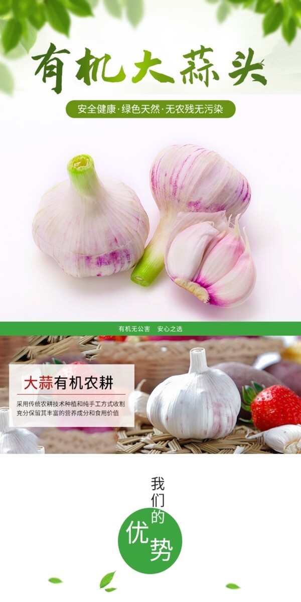 自种紫皮金乡大蒜详情页产品天然有机蔬菜