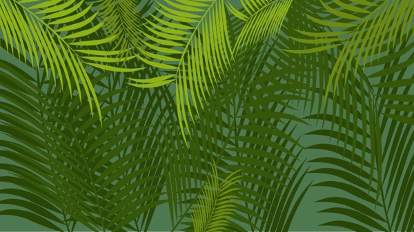 清新热带植物广告背景