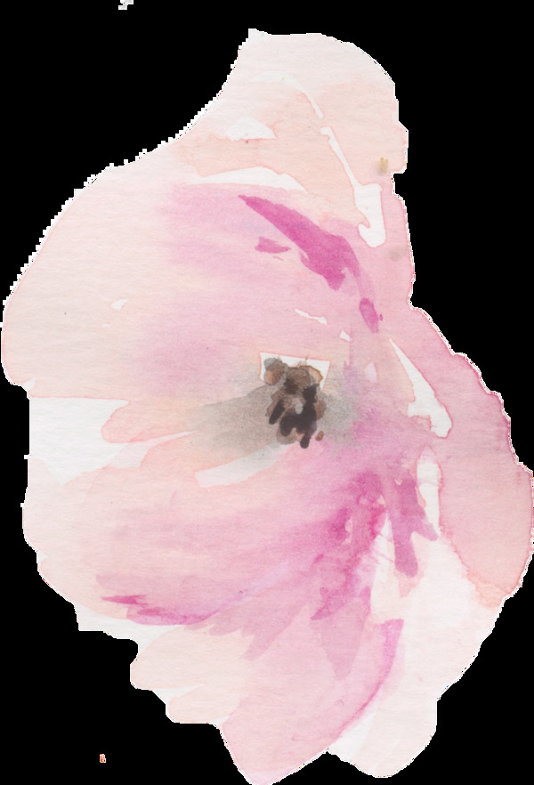 手绘水彩花朵侧面画png透明素材