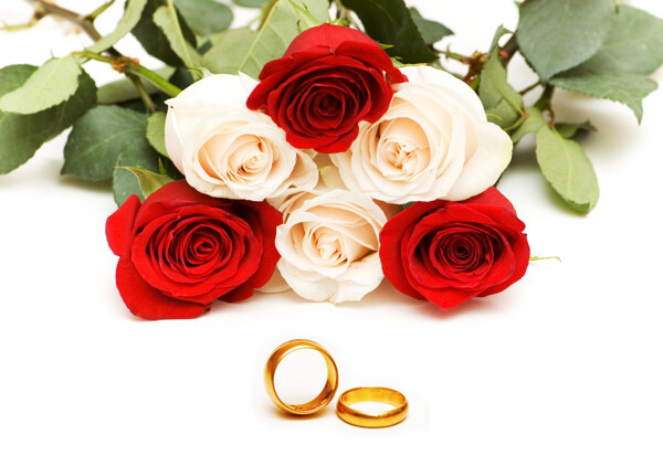 婚戒和玫瑰花