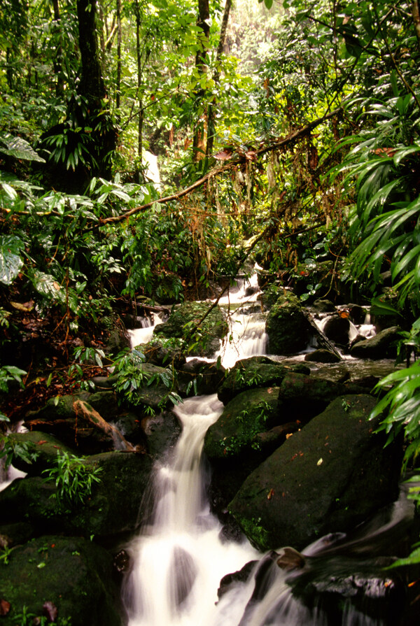 美丽小溪风景