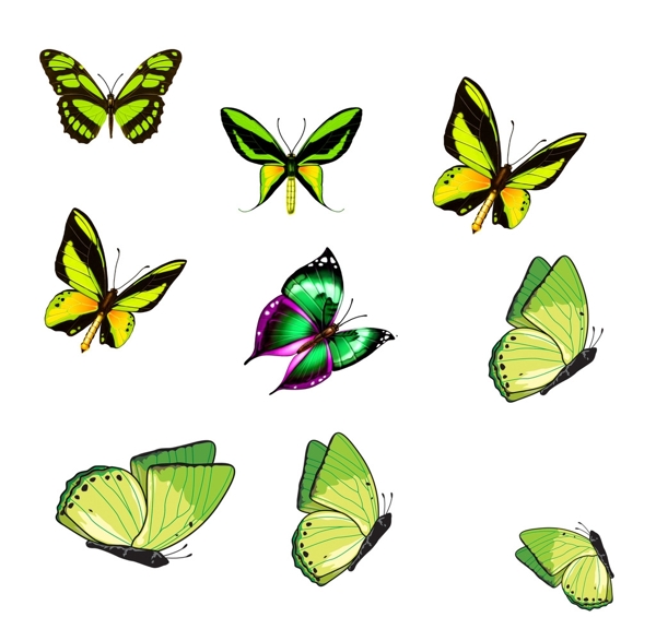 绿色蝴蝶素材