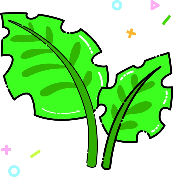 绿叶装饰热带植物
