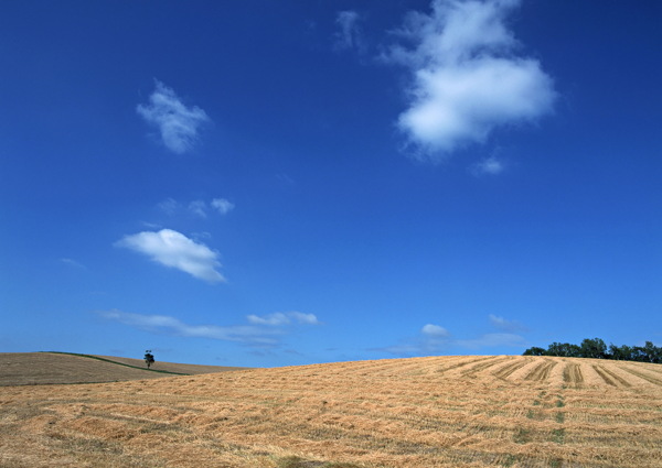 田园风光