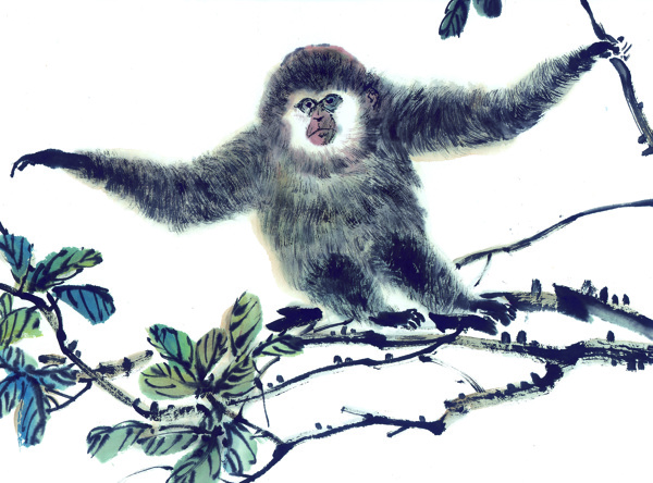 黑白十二生肖国画手绘猴图片