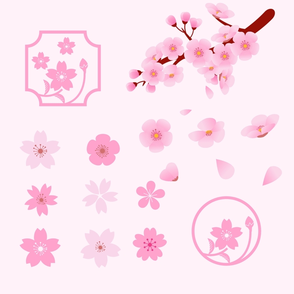 各种樱花插图