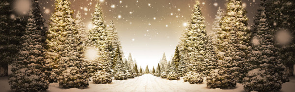 圣诞雪景背景素材43