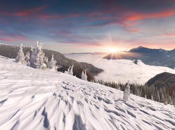 唯美阳光下雪景风景图片