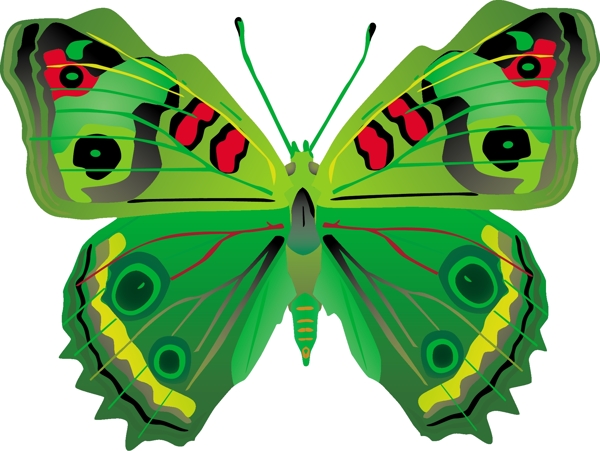 印花矢量图动物蝴蝶色彩自然免费素材