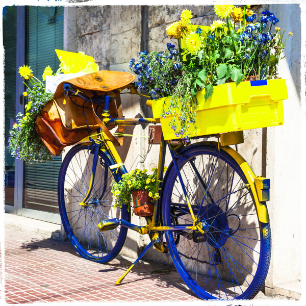 装植物花朵的自行车图片