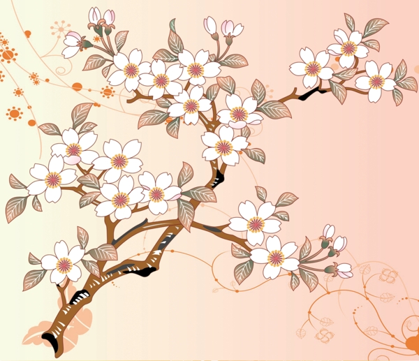 櫻花之美图片