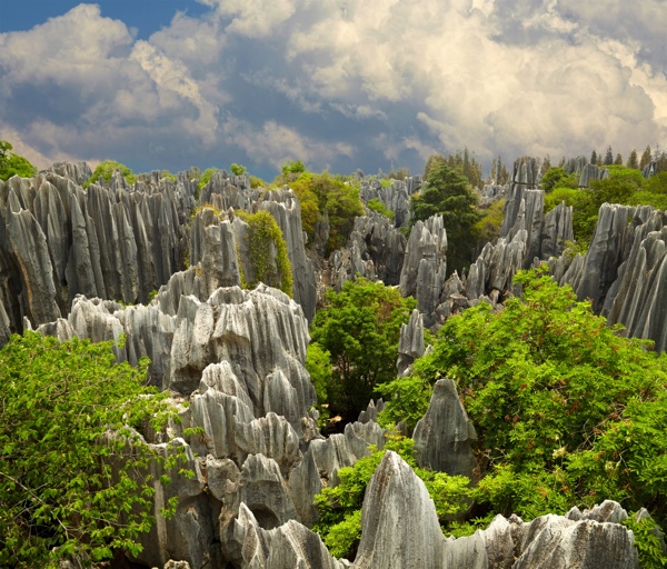 森林风景图片