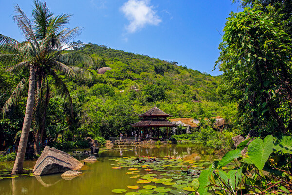 热带天堂森林公园图片
