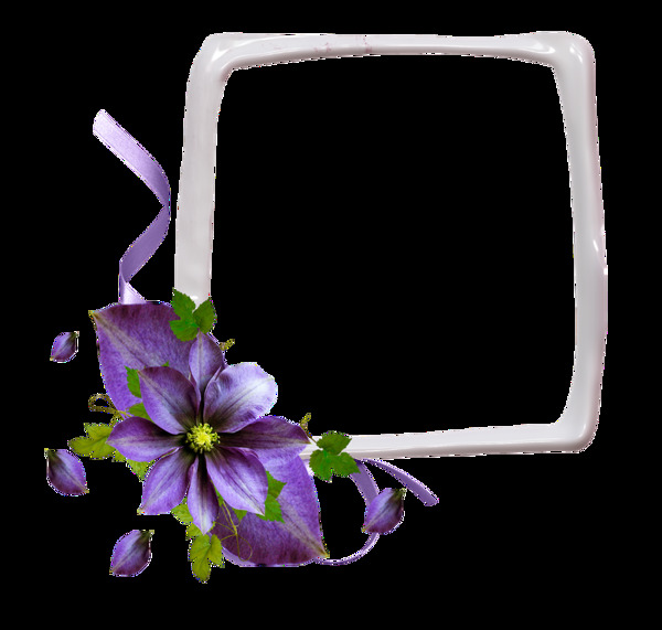 紫色花朵边框素材